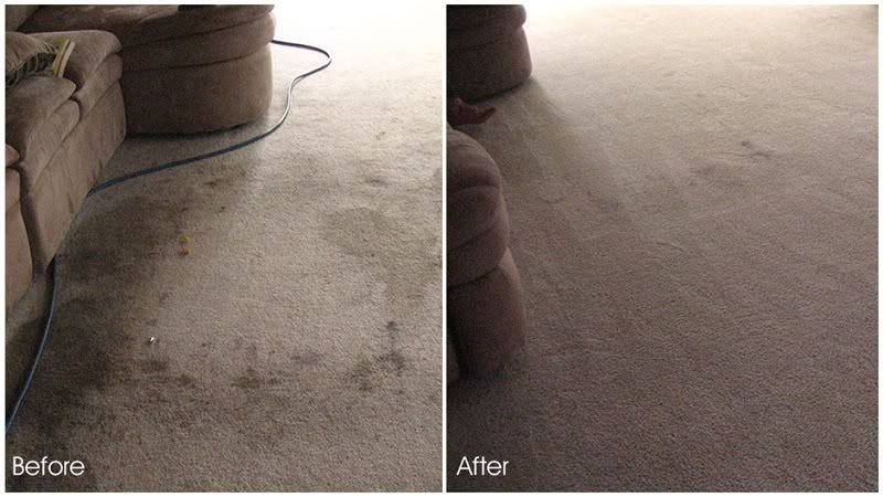 banning carpet cleaning in