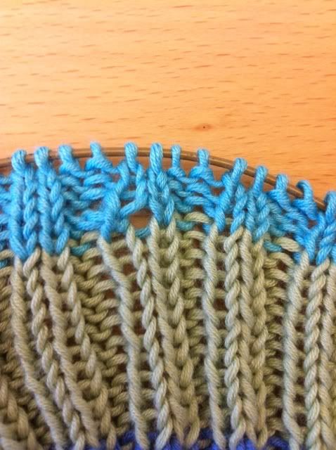 Bild