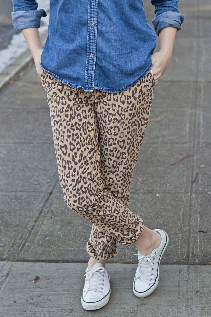  photo leopard3_zpsf86b5b8a.jpg