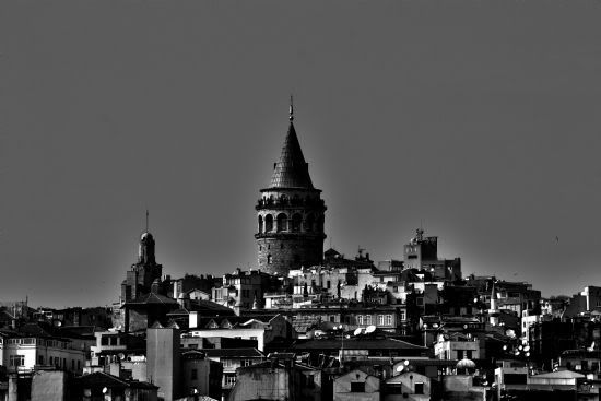 1175ED271106DF4E.jpg