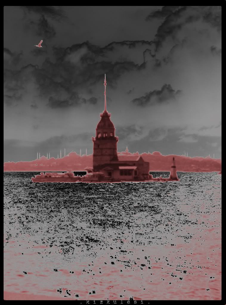 1384.jpg