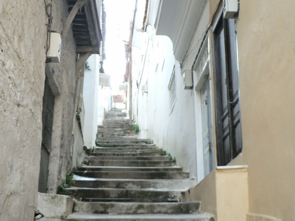 7363.jpg