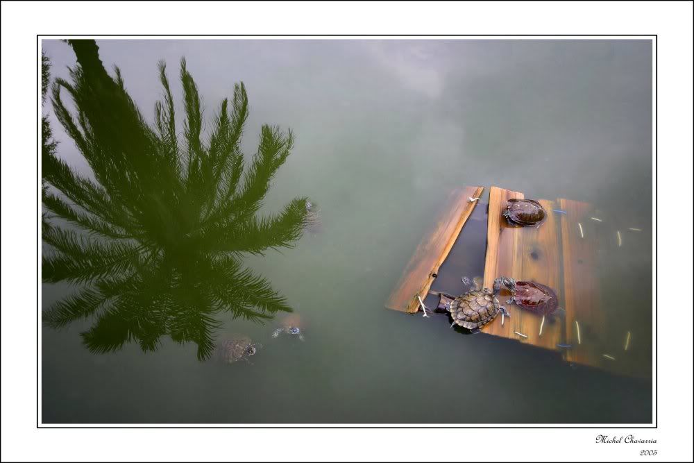 A_reverse_world____by_MichelCh.jpg