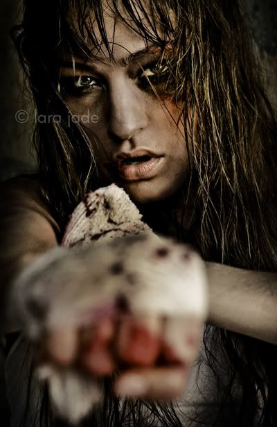 Fight_Series__by_larafairie.jpg