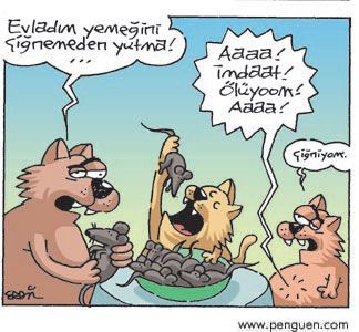 _231_komikaze-231_zps77362284.jpg