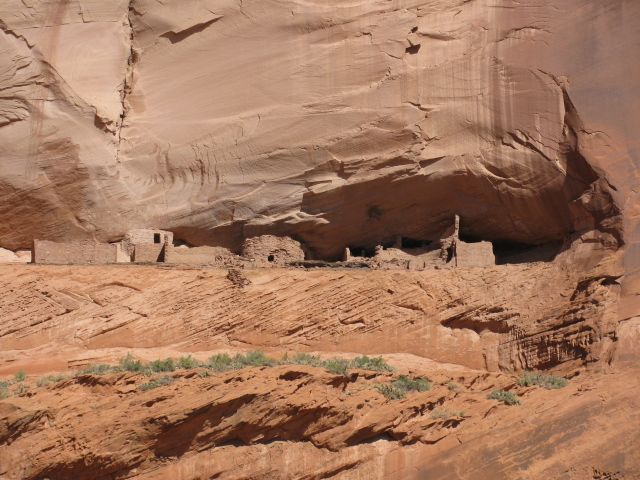 dechelly012.jpg