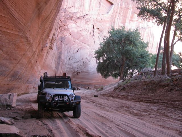 dechelly149.jpg