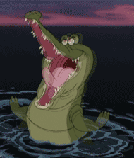 photo GIF-6.gif