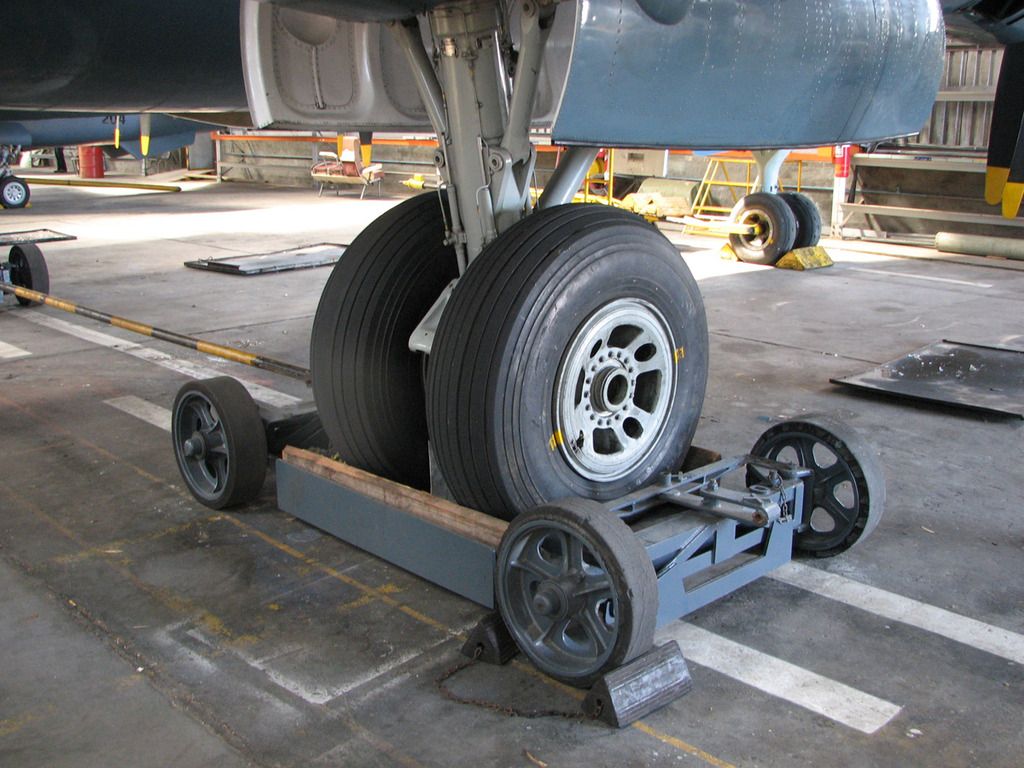  photo Shackleton 8_zpslnljcyvf.jpg