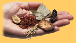 Herbal Alternative Medicine FL Pictures, Images and Photos