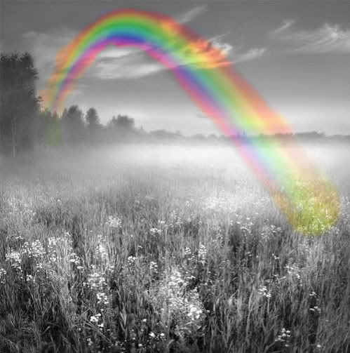 rainbow Pictures, Images and Photos