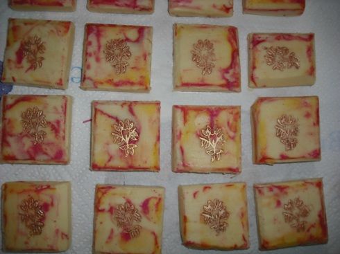 Bild