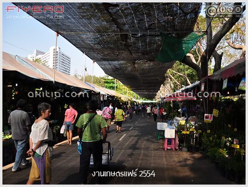 งานเกษตรแฟร์ 2554, งานเกษตรบางเขน, Kaset fair, บรรยากาศงานเกษตรแฟร์, ตลาดต้นไม้, ไม้หายาก, ต้นไม้, ดอกไม้, aKitia.Com งานเกษตรแฟร์ 2554, งานเกษตรบางเขน, Kaset fair, บรรยากาศงานเกษตรแฟร์, ตลาดต้นไม้, ไม้หายาก, ต้นไม้, ดอกไม้, aKitia.Com