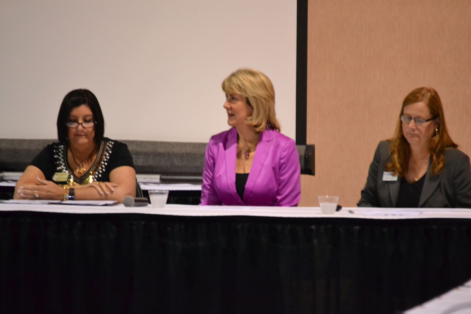 Dr. Nancy Graham, Gail Markham and Kathy Irwin attend the Organizational Wellness Panel