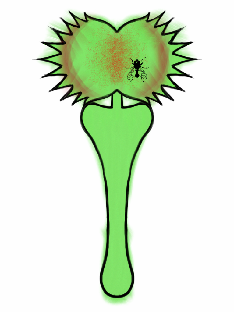 Venus Fly Trap Coloring Page #2 Venus Fly Trap Coloring Page #2
