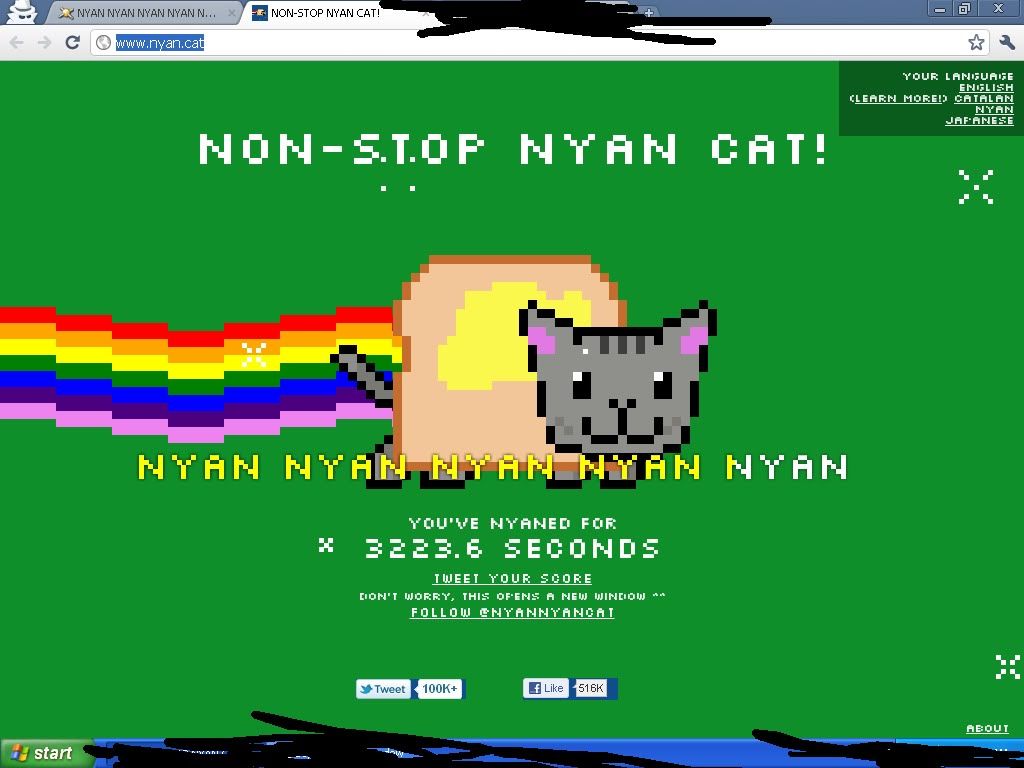 NYAN.jpg?t=1307193089