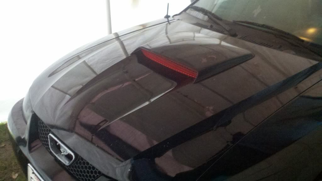 Hood Alignment Issue? Modded Mustang Forums