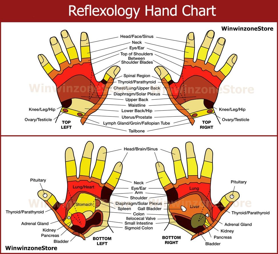 Free Downloads Reflexology Foot Chart