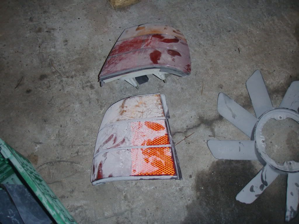 PB210456.jpg