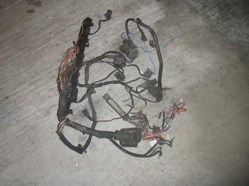 PB210470.jpg