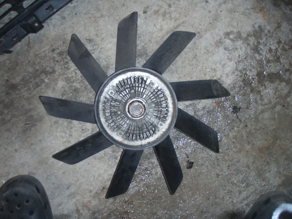 PB210477.jpg
