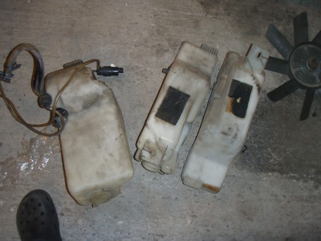 PB210478.jpg