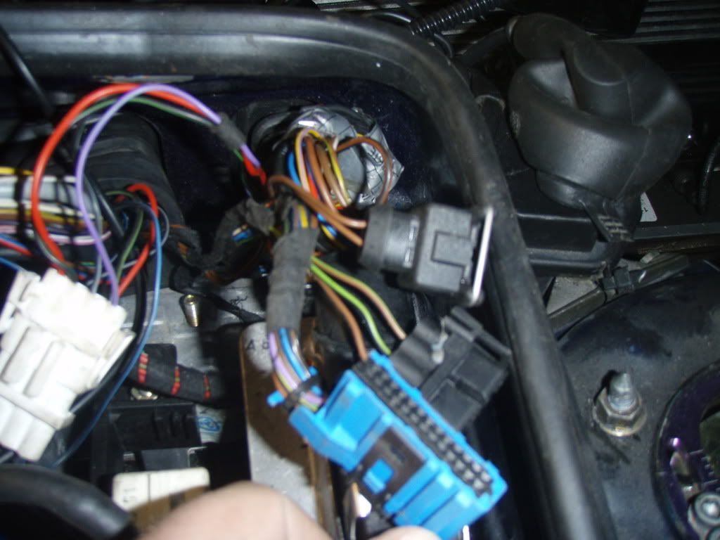 PB280455.jpg