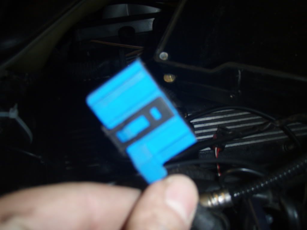 PB280456.jpg