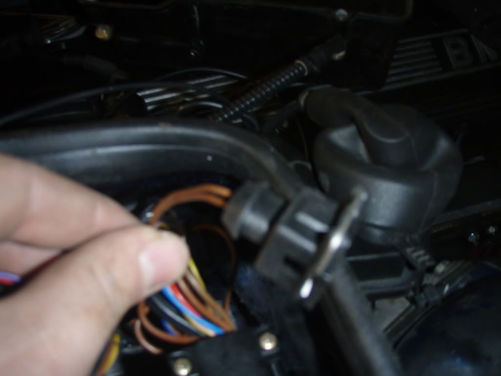 PB280457.jpg