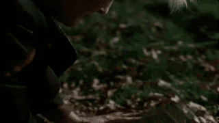 endJW.gif