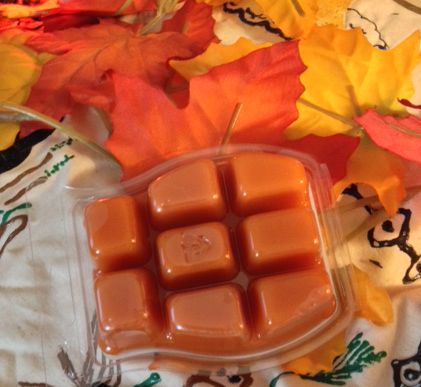 Soy Warmer Melts