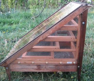 Solar Food Dehydrator