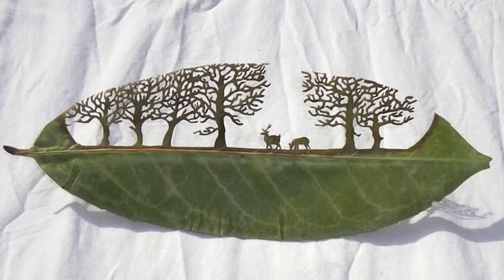 aiwaah16 - Fantastic Leaf Art