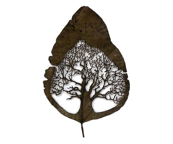 aiwaah19 - Fantastic Leaf Art