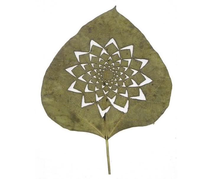 aiwaah20 - Fantastic Leaf Art