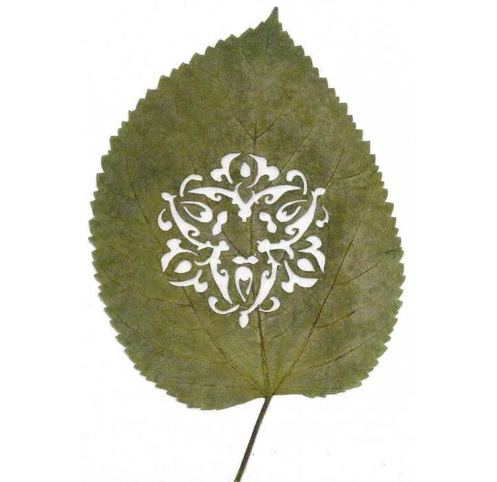 aiwaah21 - Fantastic Leaf Art