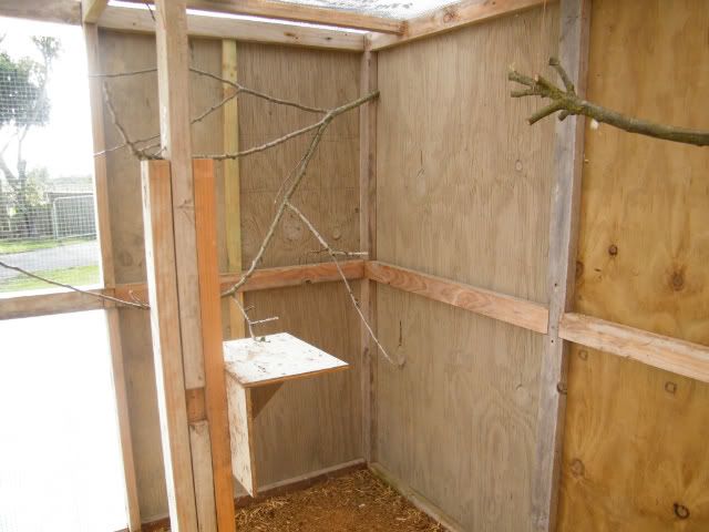 DSCF2439.jpg?t=1301803229