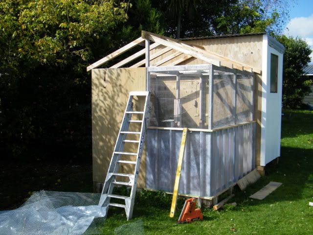 DSCF2485.jpg?t=1303461625