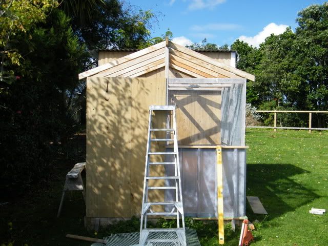 DSCF2486.jpg?t=1303461625