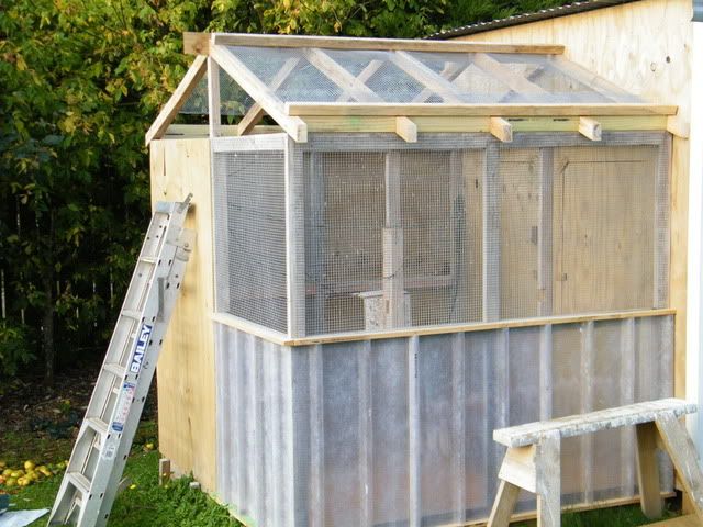 DSCF2488.jpg?t=1303461625