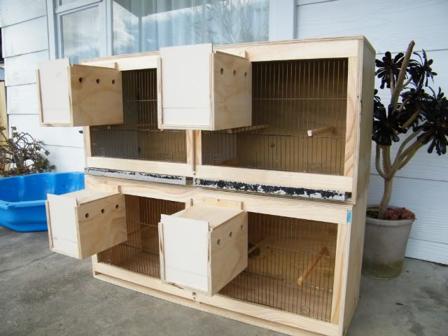 DSCF2611.jpg?t=1312079121