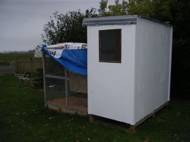 DSCF3723.jpg?t=1301203036