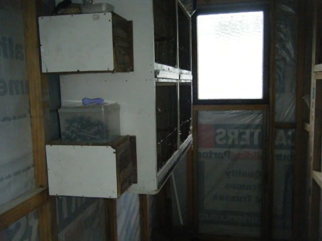 DSCF3724.jpg?t=1301203036