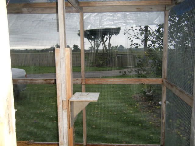 DSCF3725.jpg?t=1301203036