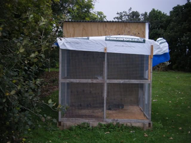 DSCF3734.jpg?t=1301203036