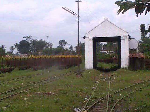 [Image: 100_4894.jpg]