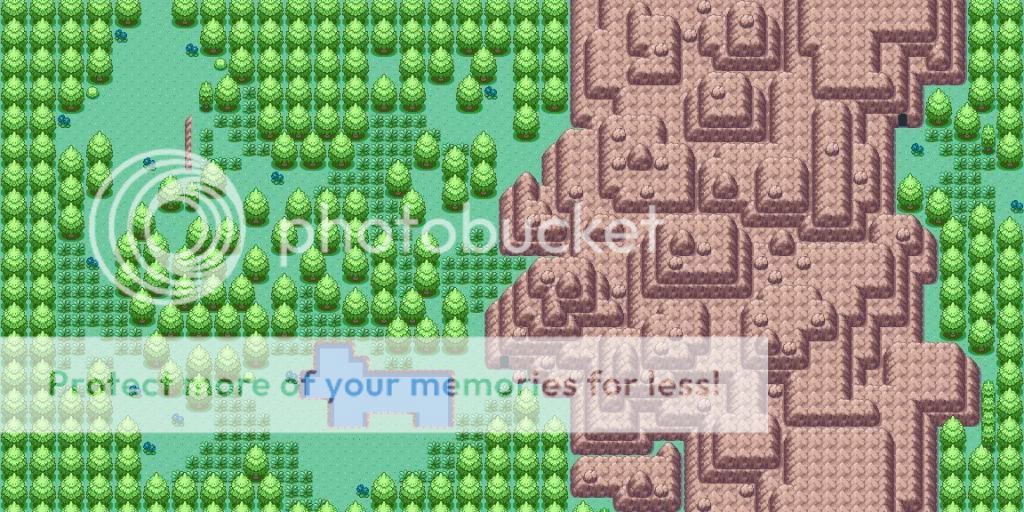 Pokémon Forest