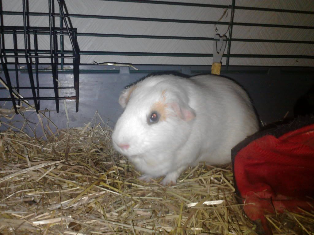 03-12-11003.jpg