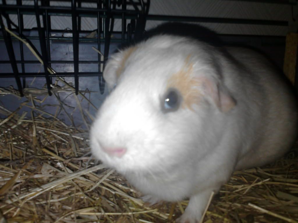 03-12-11006.jpg