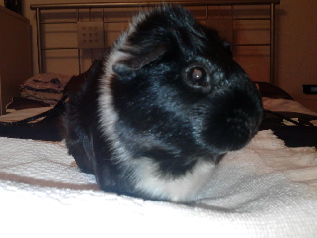 03-12-11011.jpg